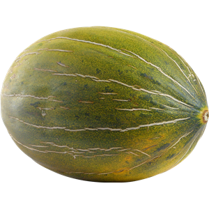 Melon PNG-14384